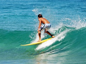 Surfing Wave
